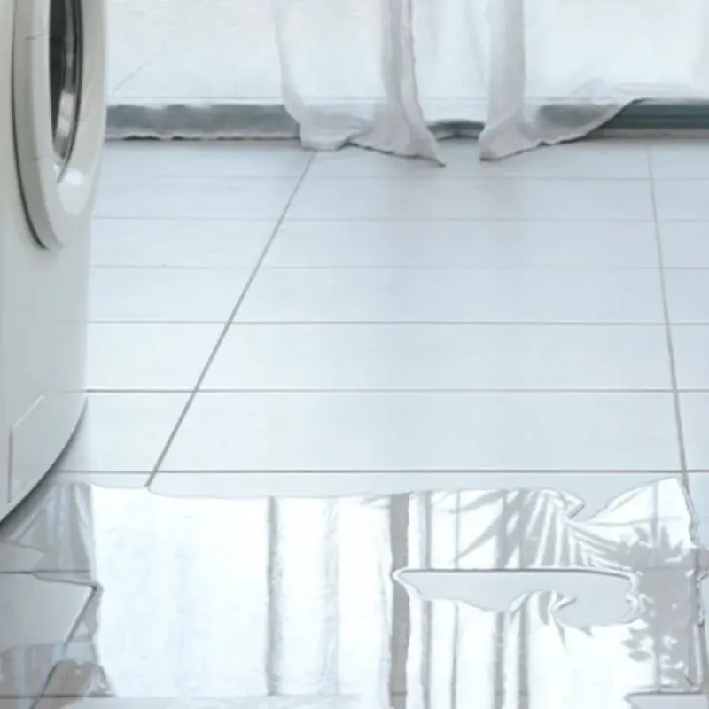 Appliance Leak Cleanup in Pewaukee, WI