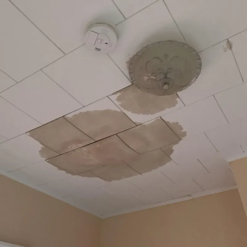 Ceiling Water Damage Repair in Pewaukee, WI
