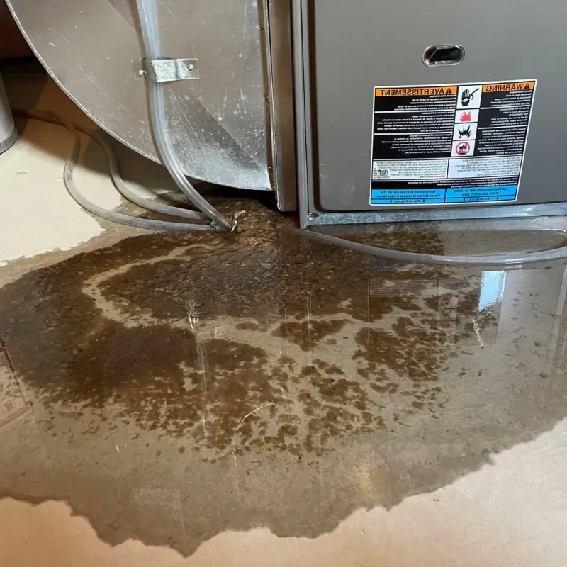 Pipe Burst and Leak Restoration in Pewaukee, WI